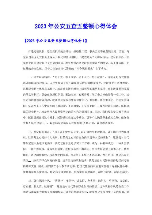 2023年公安五查五整顿心得体会