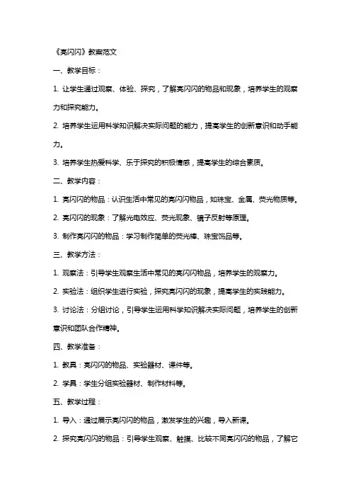 《亮闪闪》教案范文