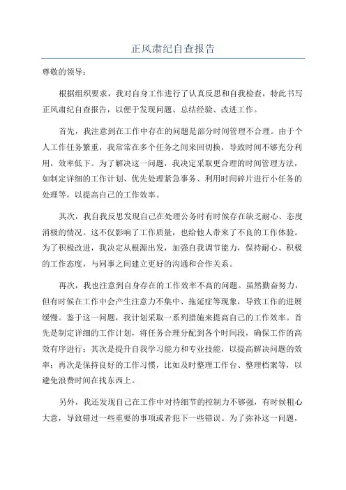 正风肃纪自查报告