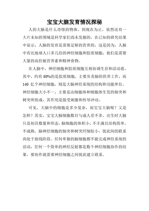 宝宝大脑发育情况探秘