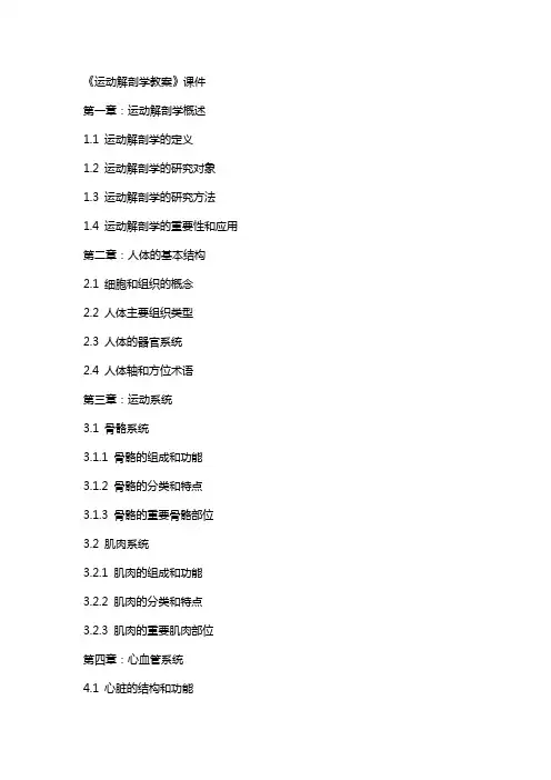 《运动解剖学教案》课件