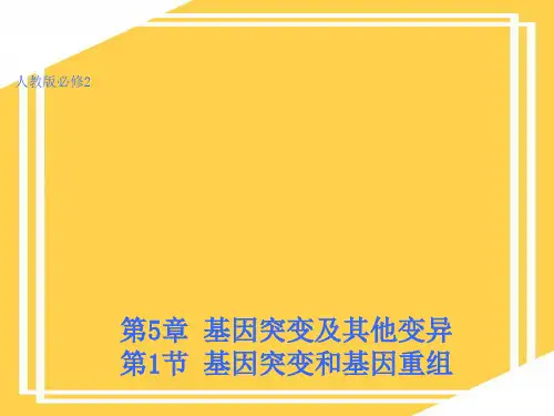 第五章-基因突变及其他变异课件PPT