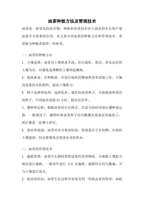 油茶种植方法及管理技术