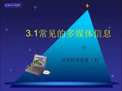 31常见的多媒体信息