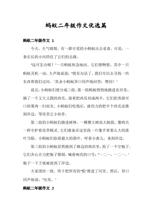 蚂蚁二年级作文优选篇