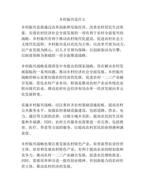 乡村振兴是什么