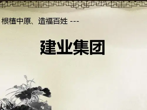 建业集团