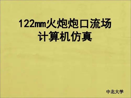 炮口流场