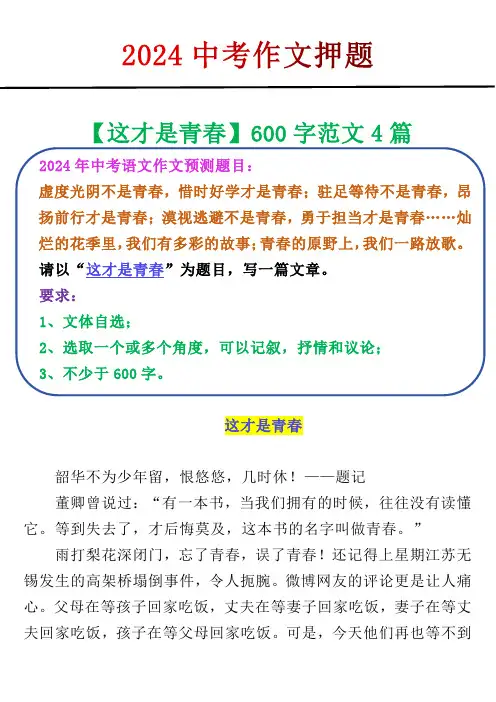2024中考作文押题【这才是青春】600字范文4篇