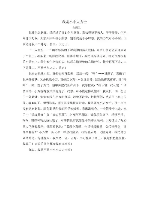 我是小小大力士