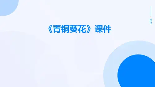 《青铜葵花》课件