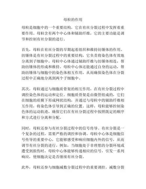 母粒的作用