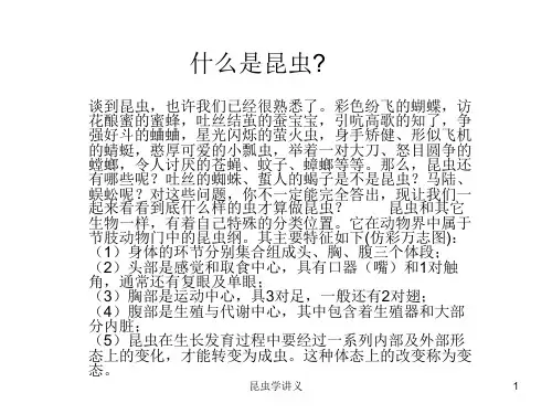 昆虫基本知识