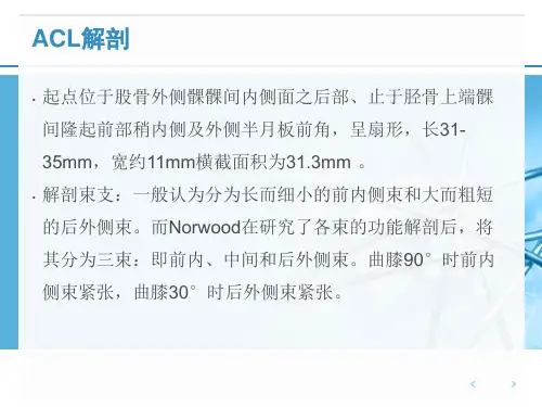 关节镜下前交叉韧的手术配合-PPT文档