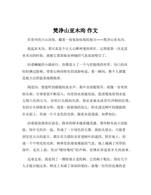 梵净山亚木沟 作文