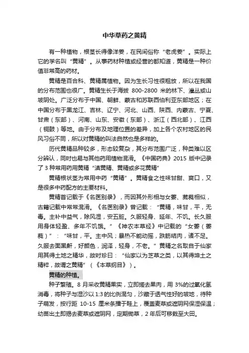 中华草药之黄精