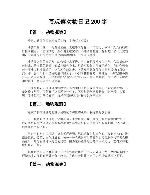 写观察动物日记200字