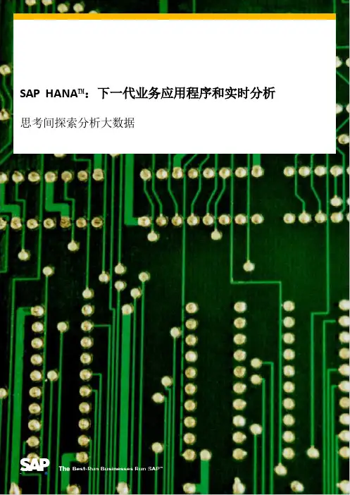 SAP+HANA白皮书