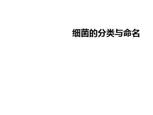 细菌的分类与命名