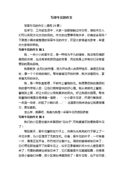 写牵牛花的作文