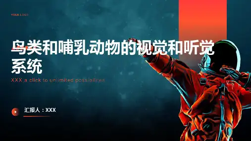 鸟类和哺乳动物的视觉和听觉系统