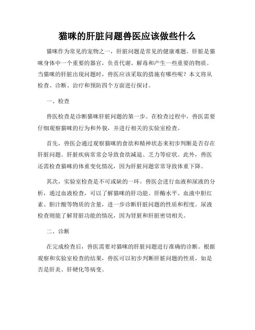 猫咪的肝脏问题兽医应该做些什么