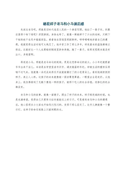 骆驼祥子老马和小马读后感