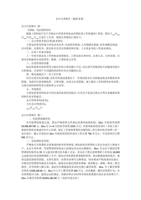 会计自查报告(最新3篇)