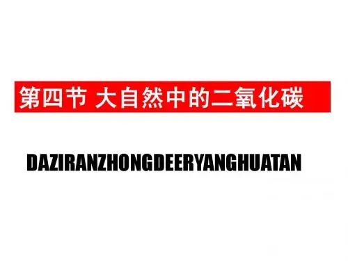 鲁教版九年级第四单元《第四节 大自然中的二氧化碳》PPT课件(方案一)