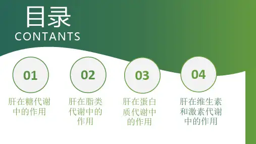 肝的代谢功能—肝在物质代谢中的作用(正常人体机能课件)