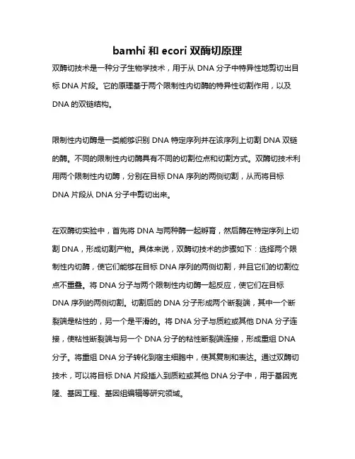 bamhi和ecori双酶切原理