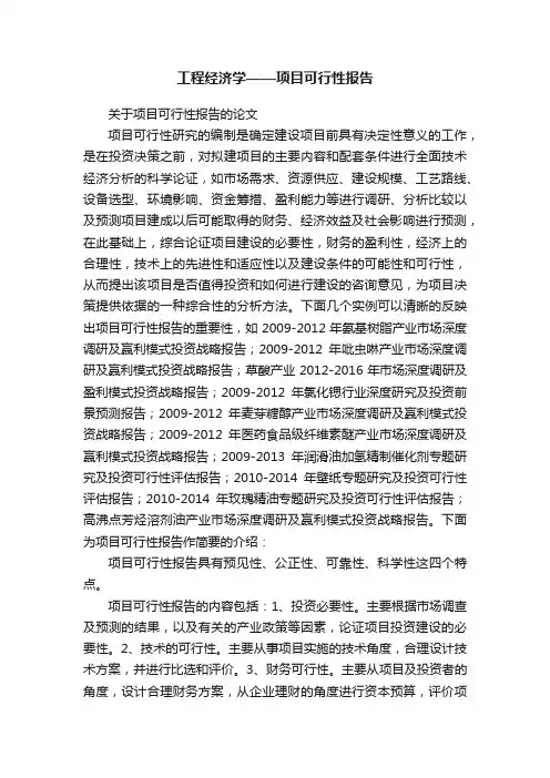 工程经济学——项目可行性报告