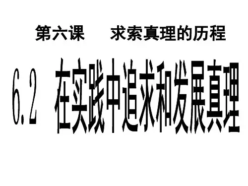 在实践中追求和发展真理ppt课件