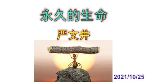 《永久的生命》精品PPT课件