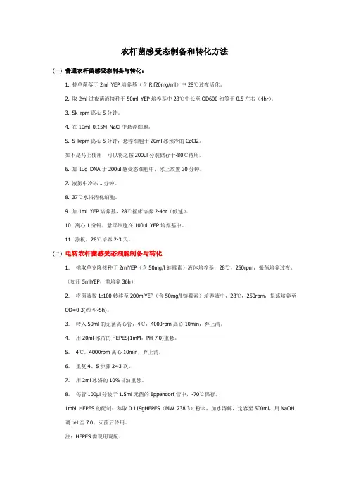 农杆菌感受态细胞的制备
