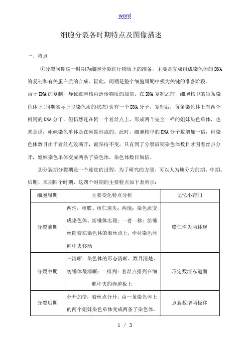 细胞分裂各时期特点及图像描述