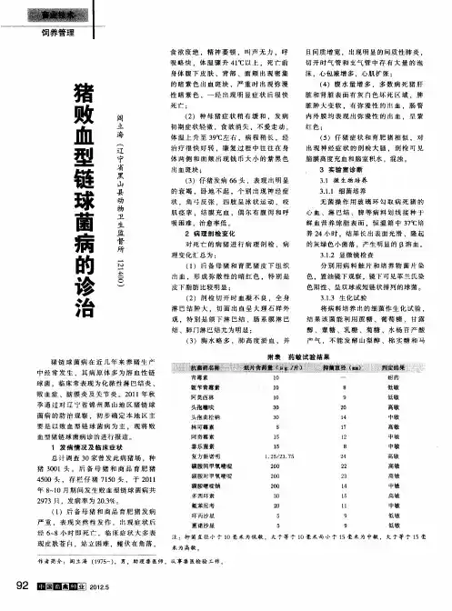 猪败血型链球菌病的诊治