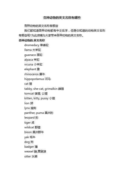各种动物的英文名称有哪些