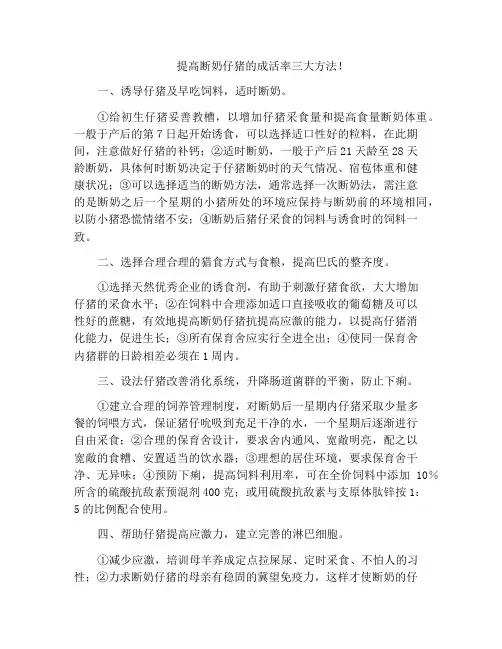 提高断奶仔猪的成活率三大方法!