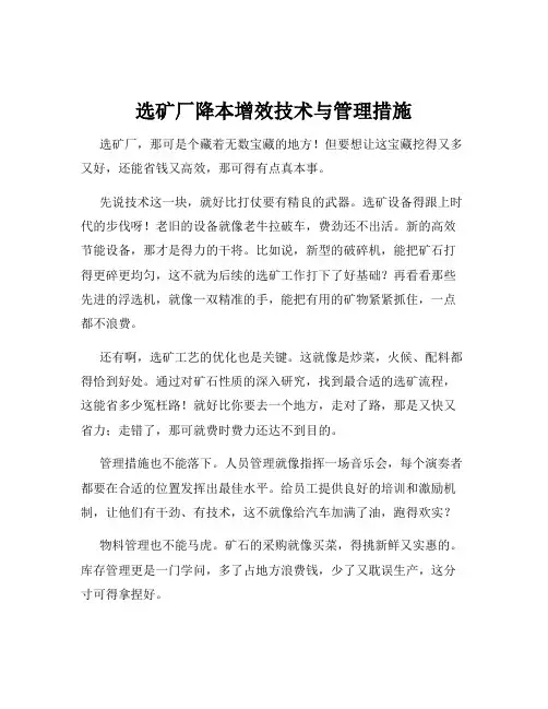 选矿厂降本增效技术与管理措施
