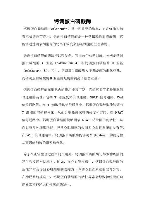 钙调蛋白磷酸酶