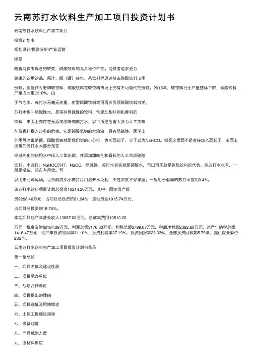 云南苏打水饮料生产加工项目投资计划书