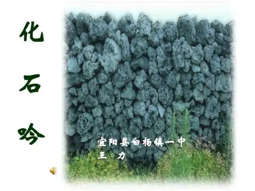 化石吟PPT课件114 人教版 (共31张PPT)