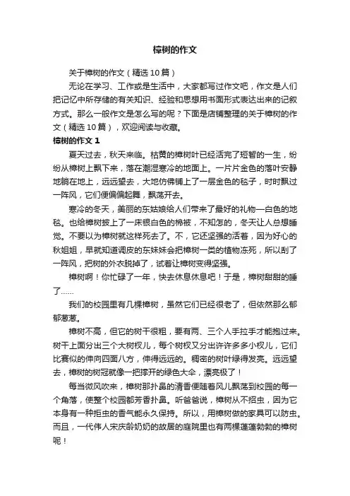 樟树的作文