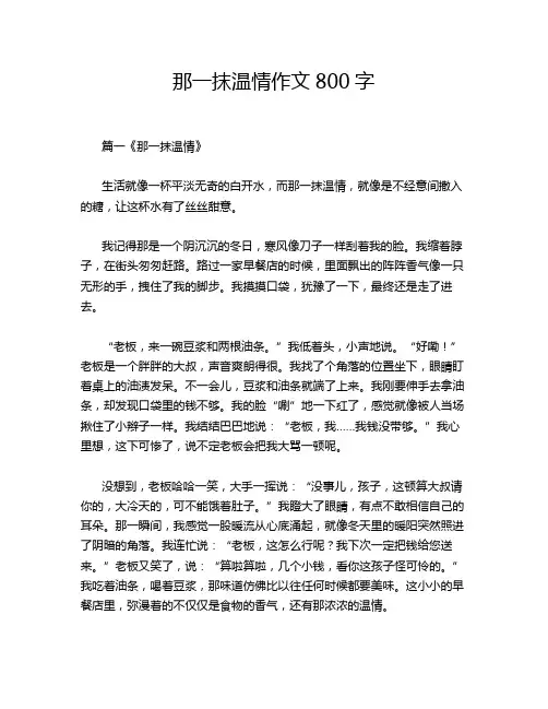 那一抹温情作文800字