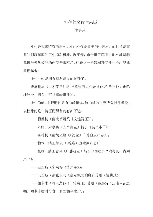 杜仲的名称