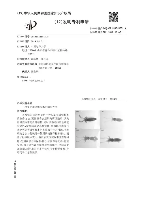 【CN109845721A】一种头足类透明标本的制作方法【专利】