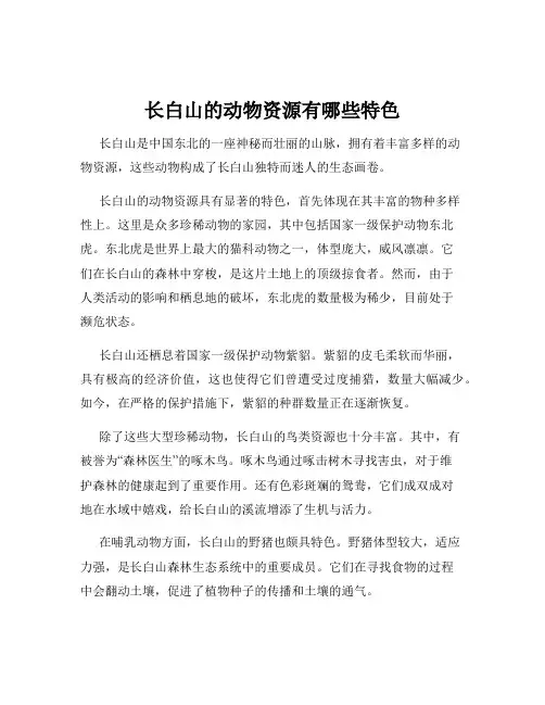 长白山的动物资源有哪些特色