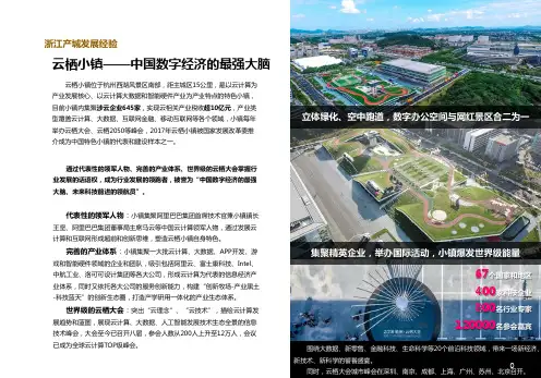 杭州云栖小镇案例