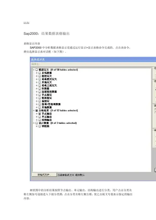sap2000输出结果意义课案